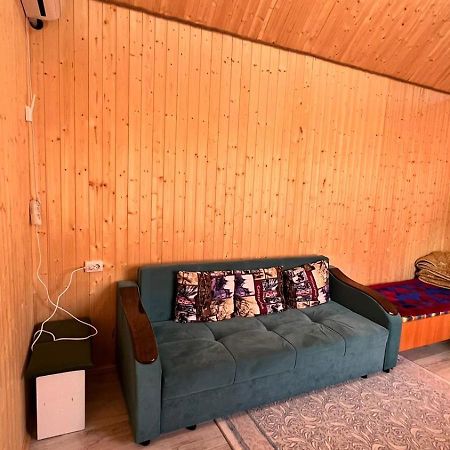 Eldos_Kolsai Villa Saty Ngoại thất bức ảnh